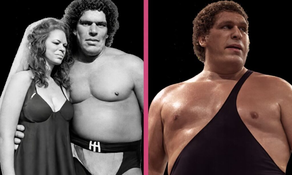 career-in-wrestling-public-relations